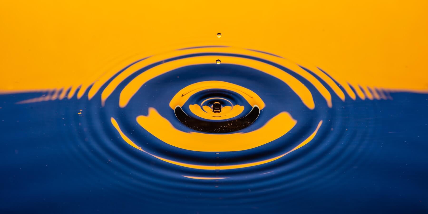 mindfulness training the friendly mind